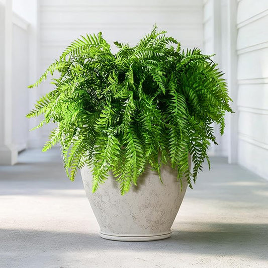 Artificial Fern Plants 10 Pcs Artificial Bush Fern Plants Realistic Fake Stems Plant Fake Shrubs Greenery for Indoor Outdoor Porch Patio Window Farmhouse Garden Office Decor (10 Pcs Green)