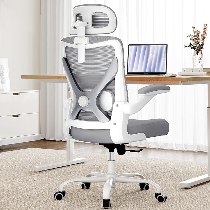 Ergonomic Office Chair - Computer Desk Chairs Comfy, Mesh High-Back Gaming Chair with Adjustable Lumbar Support, Executive Task Chair for Adults, Comfortable for Long Hours (Grey Silver)