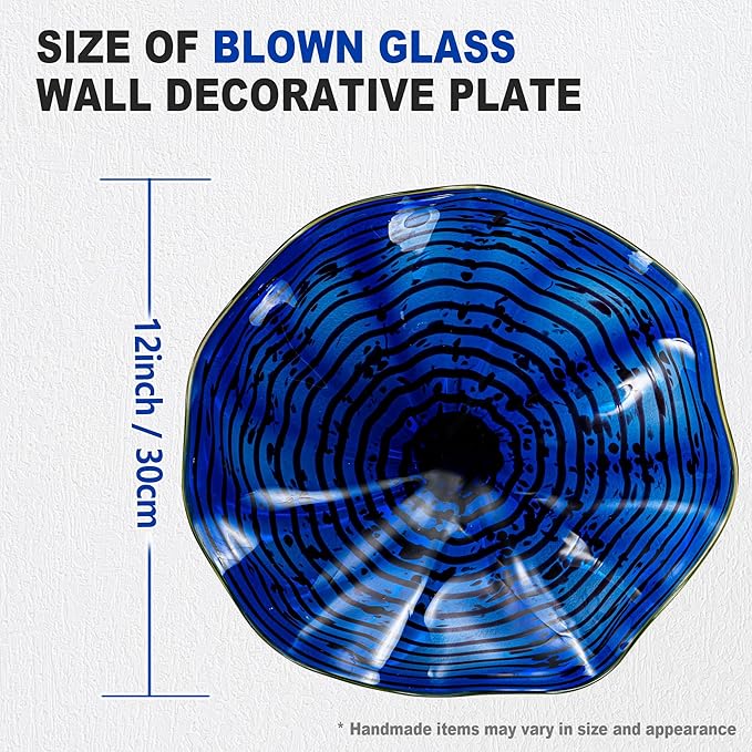 Hand Blown Glass Wall Plates Decor, Modern Unique Glass Wall Art, Murano Blown Glass Wall Art with Transparent and Easy to Clean for Staircase, Living Room, Kitchen, Hallway