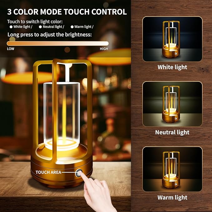 Portable Metal Table Lamp, 4000 mAh Rechargeable Outdoor Table Lamp Cordless, 3 Color Stepless Dimmable Atmosphere Table Lamps for Patio, Camping, Coffee table decor lamp for Indoor/Outdoor