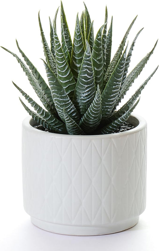 Artificial Succulent Plant in Matte White Ceramic Pot | 6.5" high Dark Green Aloe Plant | Great as desk decor or bathroom decor | beautiful realistic faux succulent with no maintenance