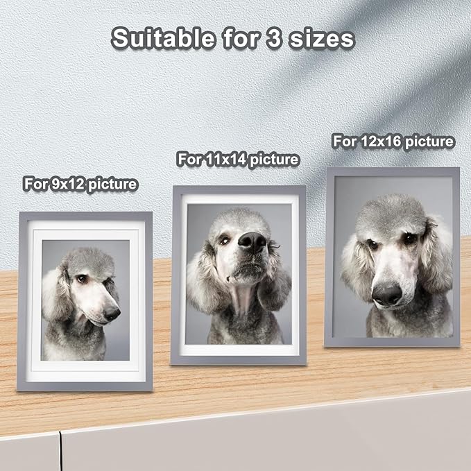 Egofine 12x16 Picture Frame Made of Solid Wood with Plexiglass, Display Pictures 9x12/11x14 with Mat or 12x16 Without Mat, for Wall Mounting Photo Frame, Light Grey