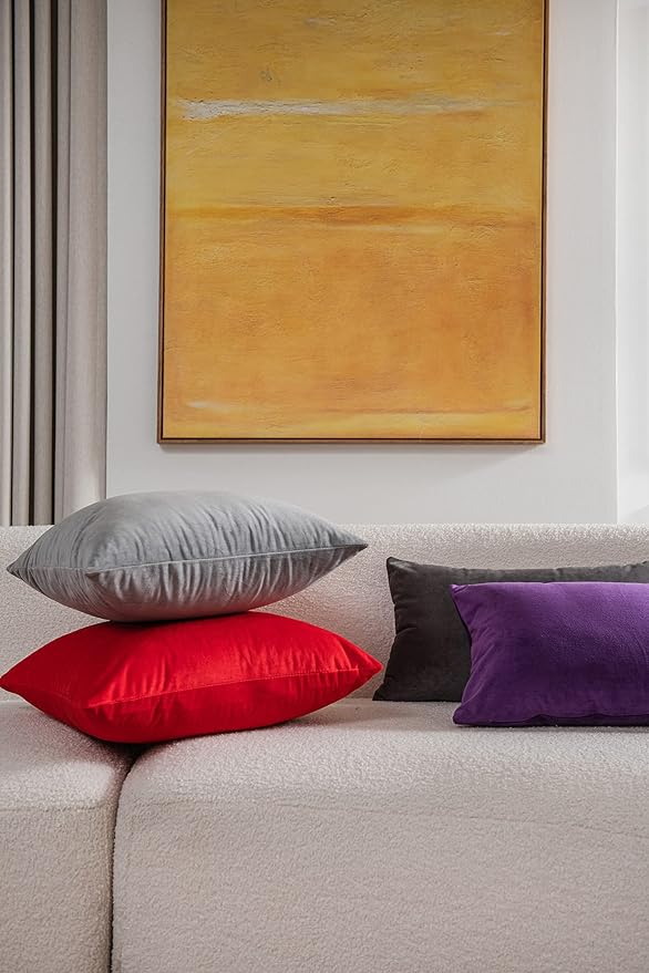 DEZENE Throw Pillow Covers 20x20 Red: 2 Pack Cozy Soft Velvet Square Decorative Pillow Cases for Farmhouse Home Decor