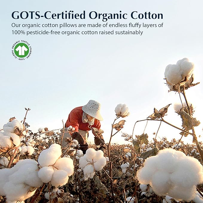 Pacific Coast Bed Pillow, Hotel Collection Down Pillow for Sleeping with Organic Cotton Shell, Suit for Stomach and Back Sleepers, 700 Fill Power, Oeko Certified, Standard Size