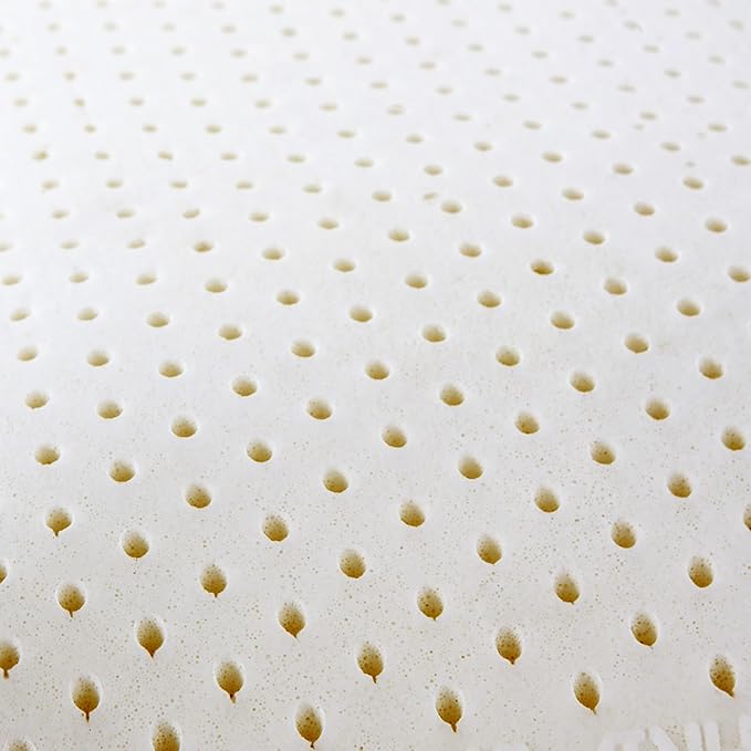 I AM Natural Talalay Latex Medium Support Bed Pillow for Sleeping, Removable and Breathable 100% Cotton Cover, Queen, White