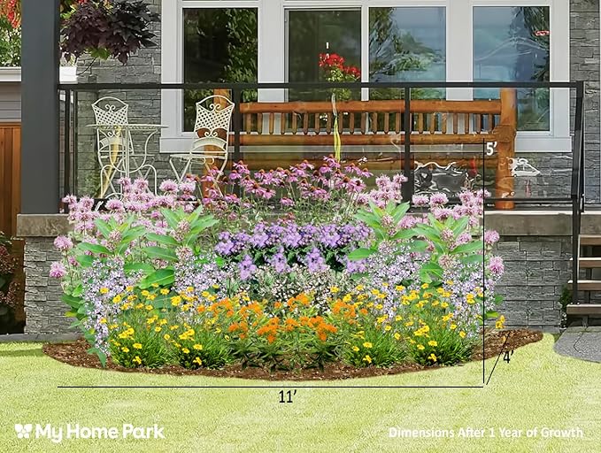 32 Live Outdoor Native Plants for Full Sun to Support Monarch Butterflies– Includes Purple Coneflower, Wild Bergamot, Butterfly Weed & More – Not Seeds – 4–8” Tall on Arrival – Easy to Grow Perennials