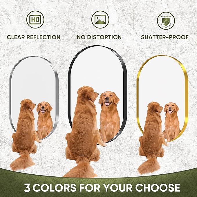 Suidia 22" x 30" Bathroom Mirror, Bathroom Vanity Mirror Metal Framed, Wall-Mounted Mirrors for Bedroom, Living Room, Entryway, Hallway, Black, Oval Style