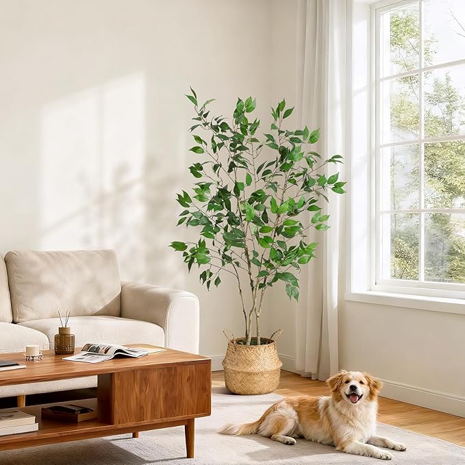 5FT Ficus Trees Artificial Indoor, Faux Silk Plant with Natural Wood Trunk and Lifelike Fruits, White Imitation Ceramic Planter with Green Fake Moss for Modern Home Office Living Room Decor