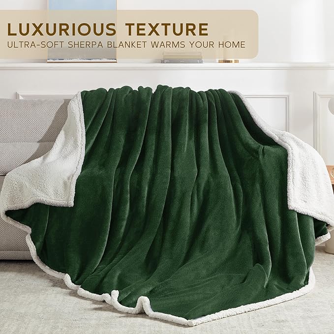 BEAUTEX Sherpa Fleece Throw Blankets, Soft Fluffy Flannel Plush Blanket and Throw, Fuzzy Cozy Green Cuddle Blankets for Couch Bed Sofa Adults (50" x 60", SageGreen)