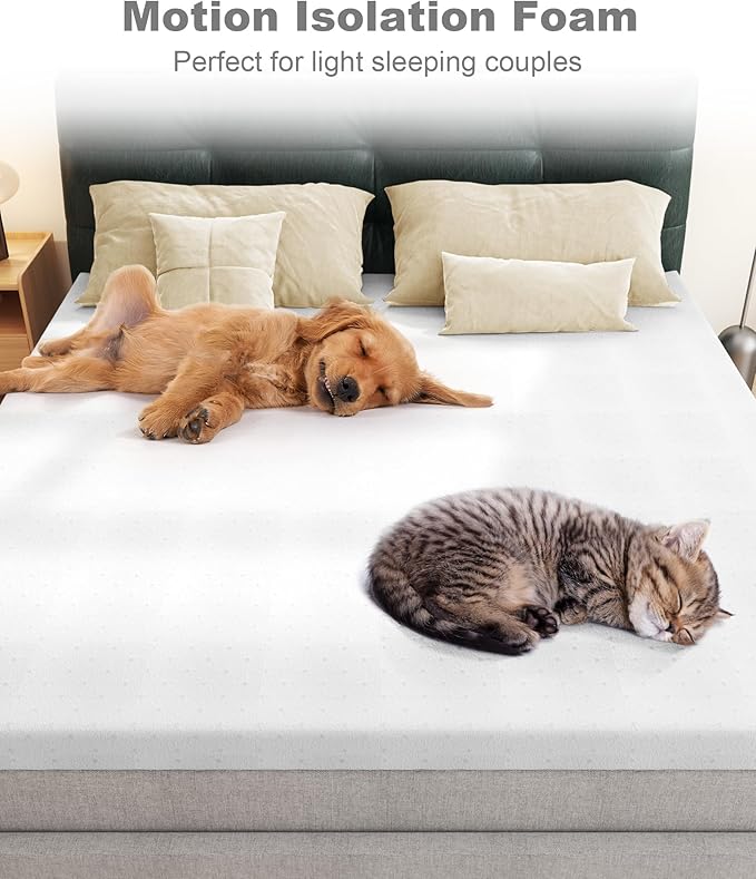 Ferlizer 3" [Queen] Mattress Topper, Memory Foam Mattress Topper Queen with Ultra Soft Cover & Corner Straps, CertiPUR-US Certified, Grey