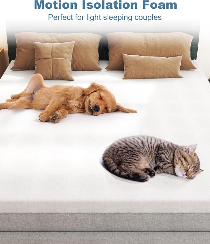 Ferlizer 3" [Full] Mattress Topper, Memory Foam Mattress Topper Full with Ultra Soft Cover & Corner Straps, CertiPUR-US Certified