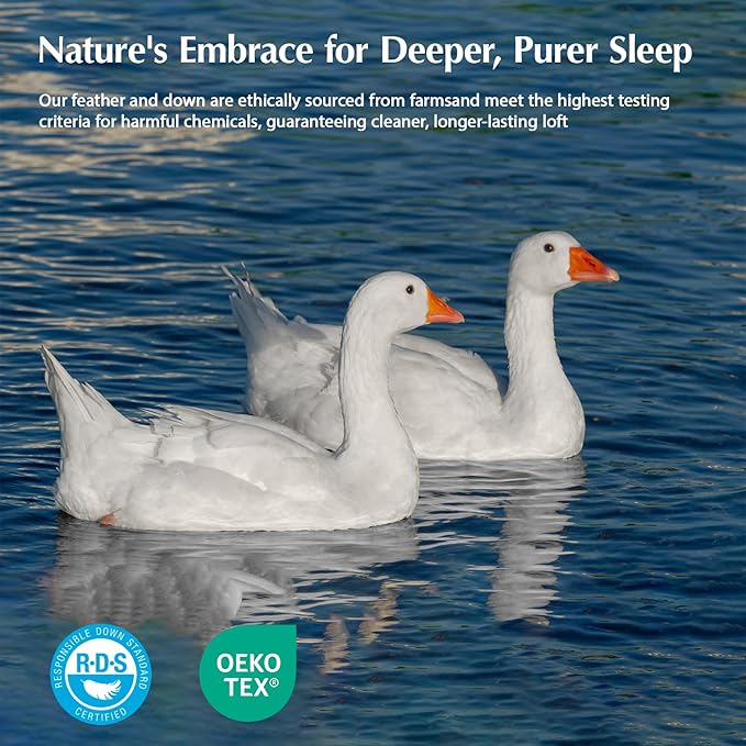 PACIFIC COAST Goose Down Fiber Comforters Queen Size Duvet Insert, All Season White Comforter, 3D Hidden-Stitch Baffle Box Design, 8 Tabs, Gifts for Women/Men, Extra Fluffy Luxury Duvet (90"x90")