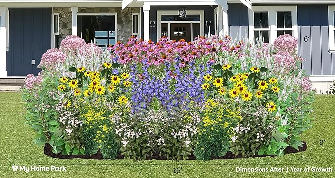 64 Outdoor Native Plants for Full Sun & Wet Ground – Includes Red Milkweed, Sweet Joe Pye Weed, Purple Coneflower & More – Not Seeds – 4–8” Tall on Arrival – Easy to Grow Perennials