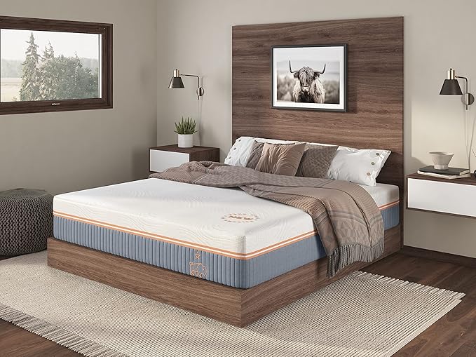 Nest & Wild Mattress Plush 12 Inch | Made in The USA | 100% Fiberglass-Free Cool Touch Cover | Ventilated Memory Foam | Bed in a Box | CertiPUR-US & OEKO-TEX100 Certified Foams (Twin)