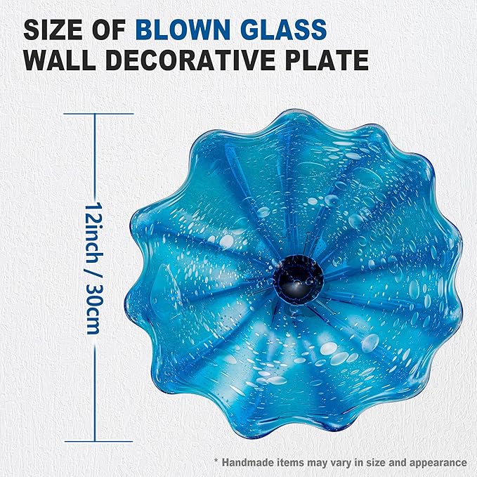 Hand Blown Glass Wall Plates Decor, Modern Unique Glass Wall Art, Murano Blown Glass Wall Art with Transparent and Easy to Clean for Staircase, Living Room, Kitchen, Hallway