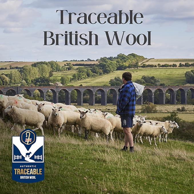 WOOLROOM All Natural Latex Bed Pillow Queen Size - Pressure Relieving Latex Pillow - Molds to Your Head - Encased in Handcrafted Traceable Machine Washable British Wool Organic Cotton Champagne Cover