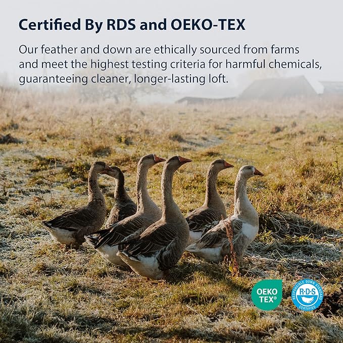 Pacific Coast Goose Feather and Down Bed Pillows Standard Size Set of 2, Pillows for Sleeping, Medium Supportive, Hotel Pillow for Side and Back Sleepers