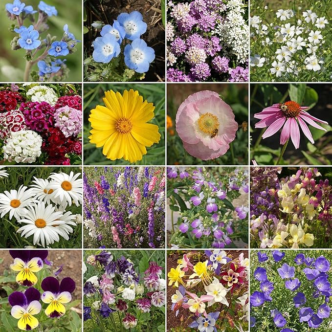 Ferry-Morse Shade Mix Bulk Flower Seeds, 1lb