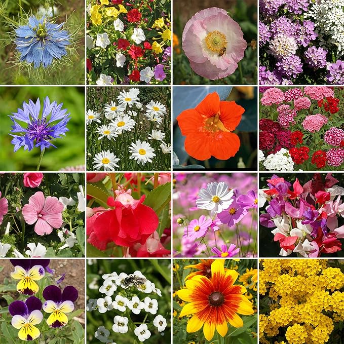 Ferry-Morse Cottage Garden Mix Bulk Flower Seeds, 1lb