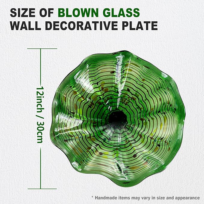 Hand Blown Glass Wall Plates Decor, Modern Unique Glass Wall Art, Murano Blown Glass Wall Art with Transparent and Easy to Clean for Staircase, Living Room, Kitchen, Hallway