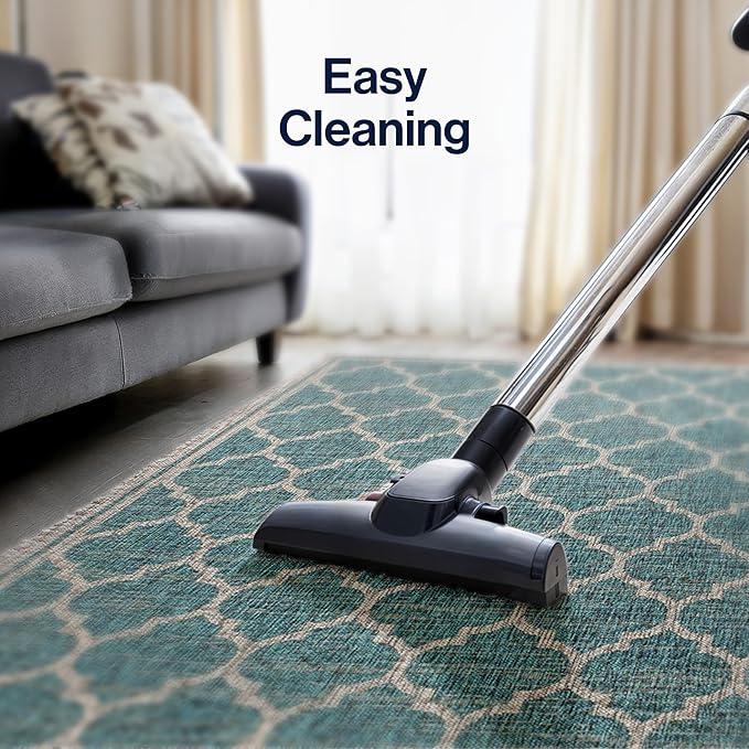 Eyely BMS109E-5TGN Trebol Moroccan Trellis Textured Weave Teal/Gray 5' Octagon Indoor/Outdoor Area Rug, Teal/Gray, 5' Octagon, Indoor/Outdoor, Area Rug