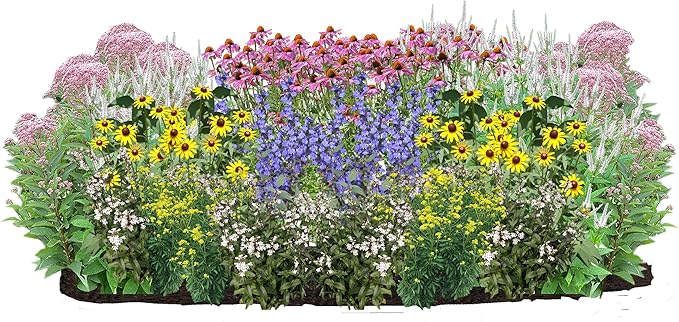 64 Outdoor Native Plants for Full Sun & Wet Ground – Includes Red Milkweed, Sweet Joe Pye Weed, Purple Coneflower & More – Not Seeds – 4–8” Tall on Arrival – Easy to Grow Perennials