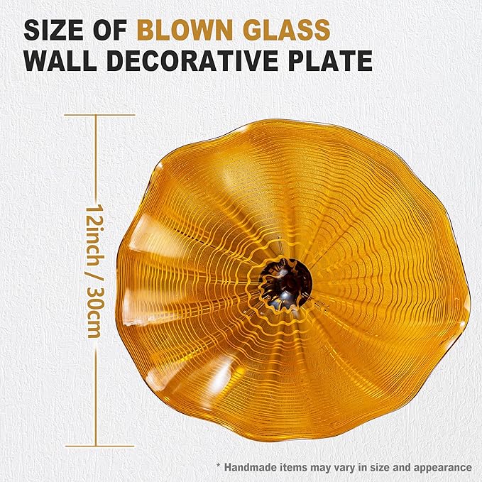 Hand Blown Glass Wall Plates Decor, Modern Unique Glass Wall Art, Murano Blown Glass Wall Art with Transparent and Easy to Clean for Staircase, Living Room, Kitchen, Hallway