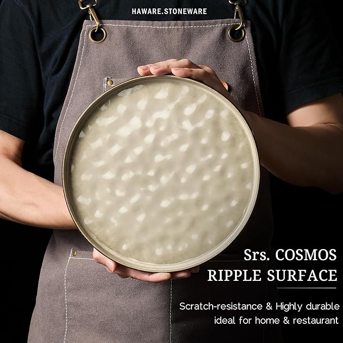 HaWare Dinnerware Sets, 12-Piece Plates and Bowls Set, Stoneware Dish Set for 4, Ceramic Dinnerware for Home Restaurant, Chip and Scratch Resistant, Microwave and Dishwasher Safe, Saturn Khaki