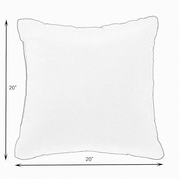 Sorra Home Pensacola Multi Outdoor/Indoor Pillow Set of Two 20in x 20in x 6in