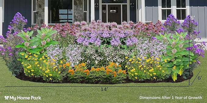 64 Live Outdoor Native Plants for Full Sun to Support Monarch Butterflies – Includes Purple Coneflower, Wild Bergamot, Butterfly Milkweed & More – Not Seeds – 4–8” Tall on Arrival – Easy to Grow