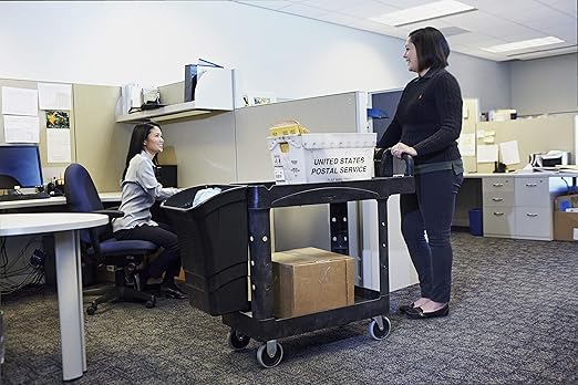 Rubbermaid Commercial Products 2-Shelf Utility/Service Cart, Small, Lipped Shelves, Ergonomic Handle, 500 lbs. Capacity, for Warehouse/Garage/Cleaning/Manufacturing