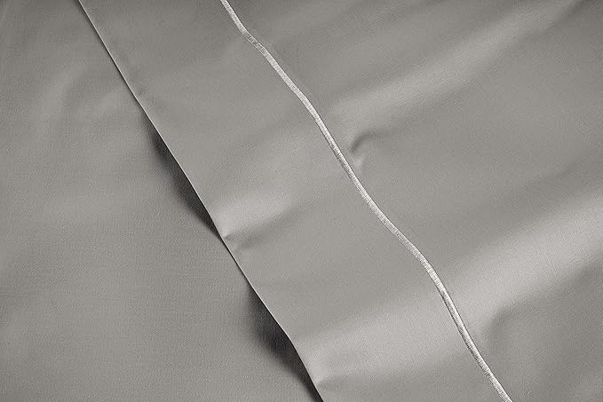 LANE LINEN Pillows Queen Size Set of 2 Soft 100% Egyptian Cotton Cool & Smooth 1000 Thread Count Pillow Cases - Silver