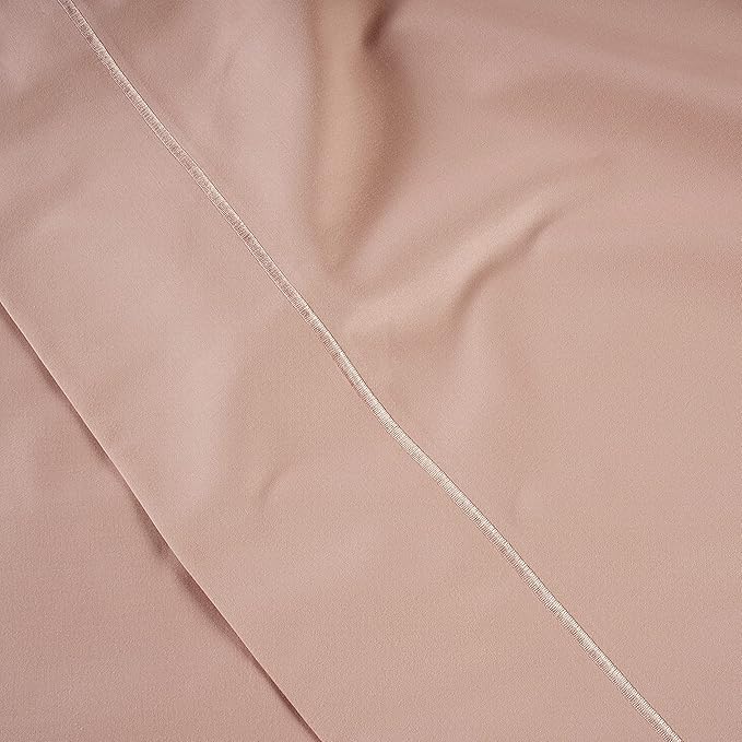 LANE LINEN Pillows Queen Size Set of 2 Soft 100% Egyptian Cotton Cool & Smooth 1000 Thread Count Pillow Cases - Sepia Rose